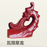 瓦筒草龍