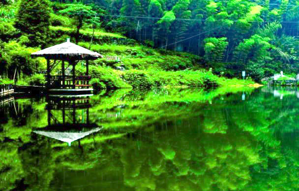 谷城鉅灃陶瓷.jpg